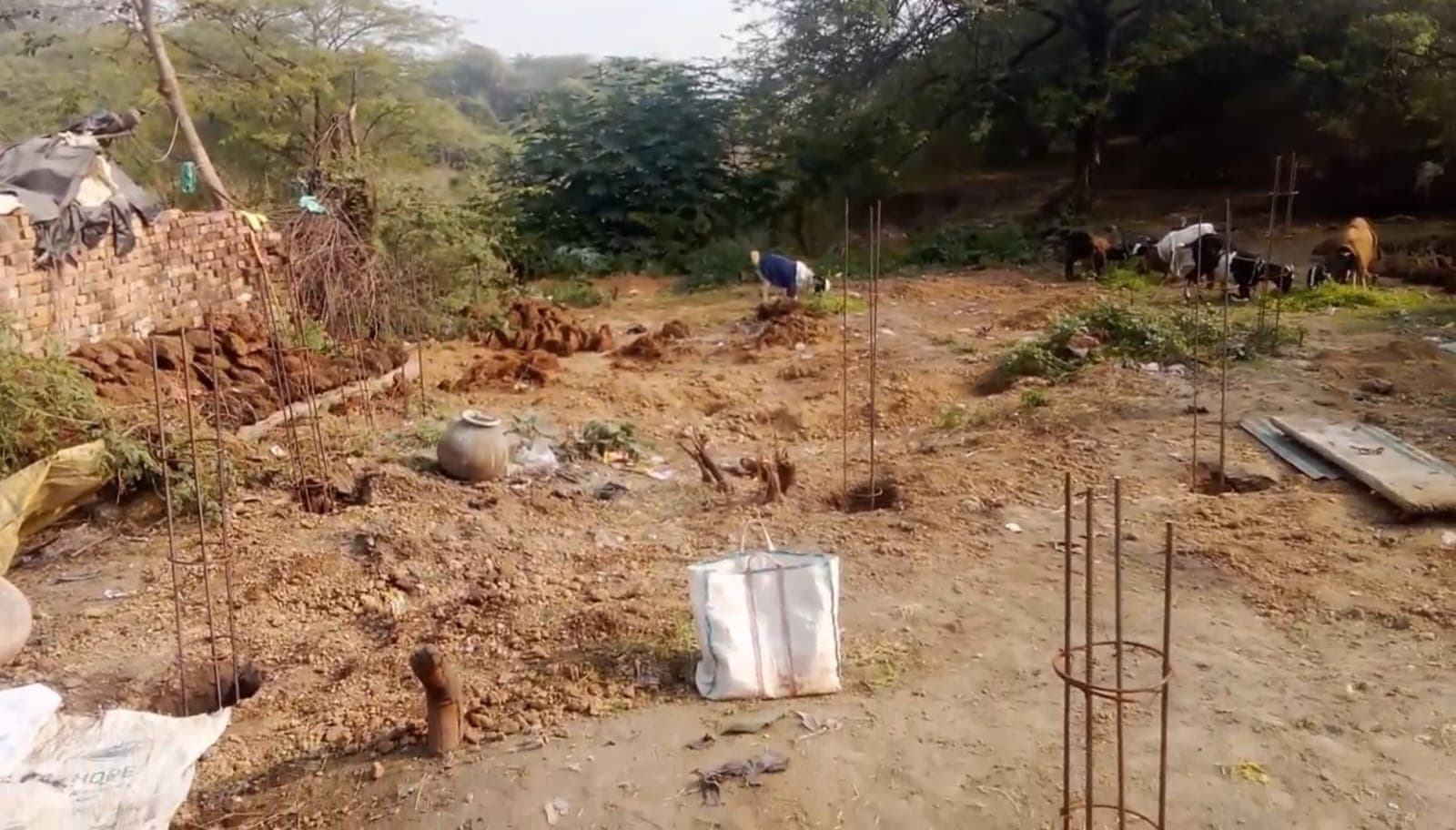 भूमाफिया के हौसले बुलंद, तालाब की जमीन पर अवैध अतिक्रमण रहमानिया कॉलेज की प्रधानाचार्या ने कोतवाली में दी तहरीर