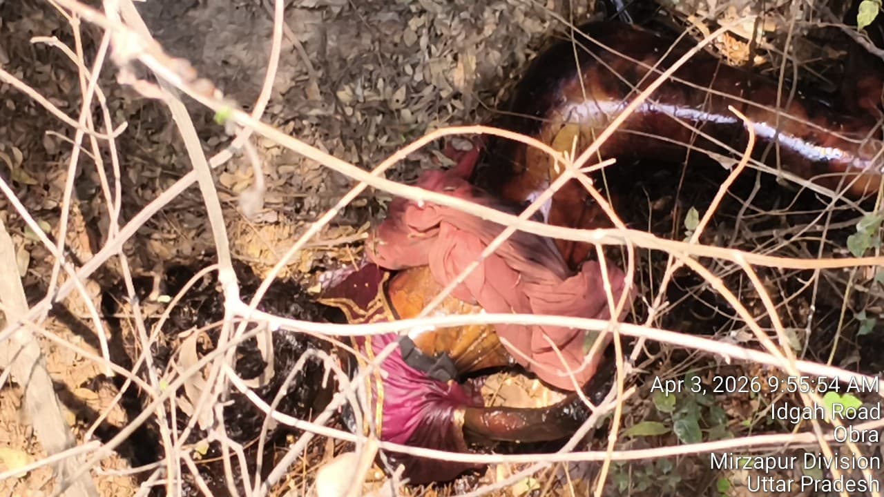 ब्रेकिंग न्यूज़ ,डमडम गुफा के सामने के जंगल में अज्ञात महिला के शव मिलने से मचा हड़कम