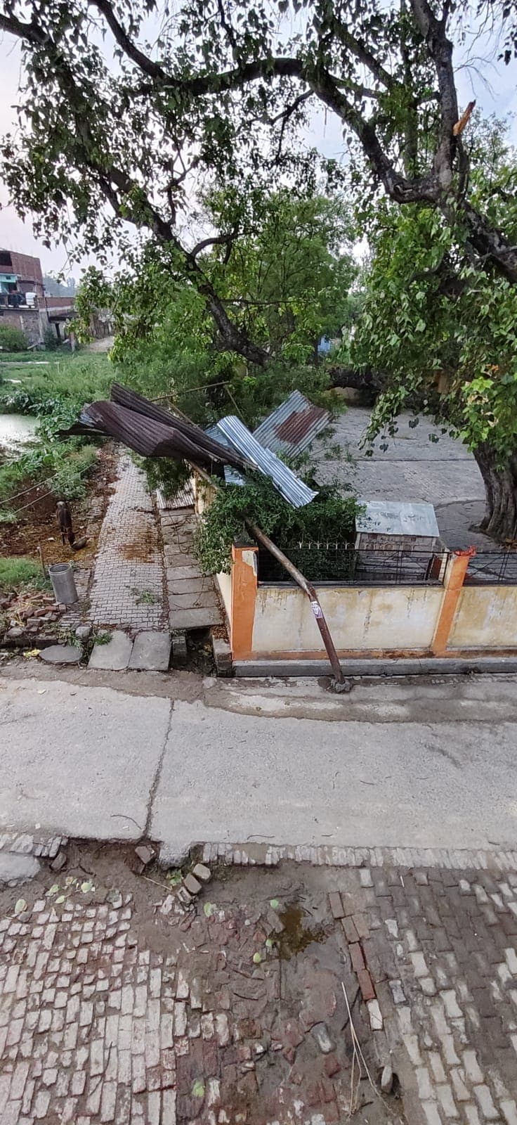 तेज आंधी से 350 से अधिक घरों की बिजली ठप, मरम्मत कार्य