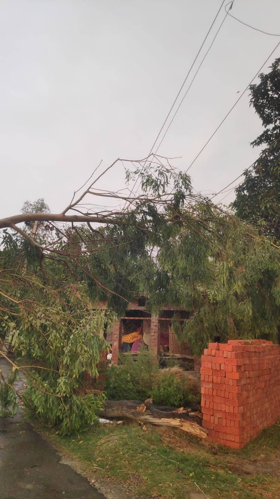 *आंधी-पानी से बिजली व्यवस्था ध्वस्त, 35 पोल टूटने से कई गांव अंधेरे