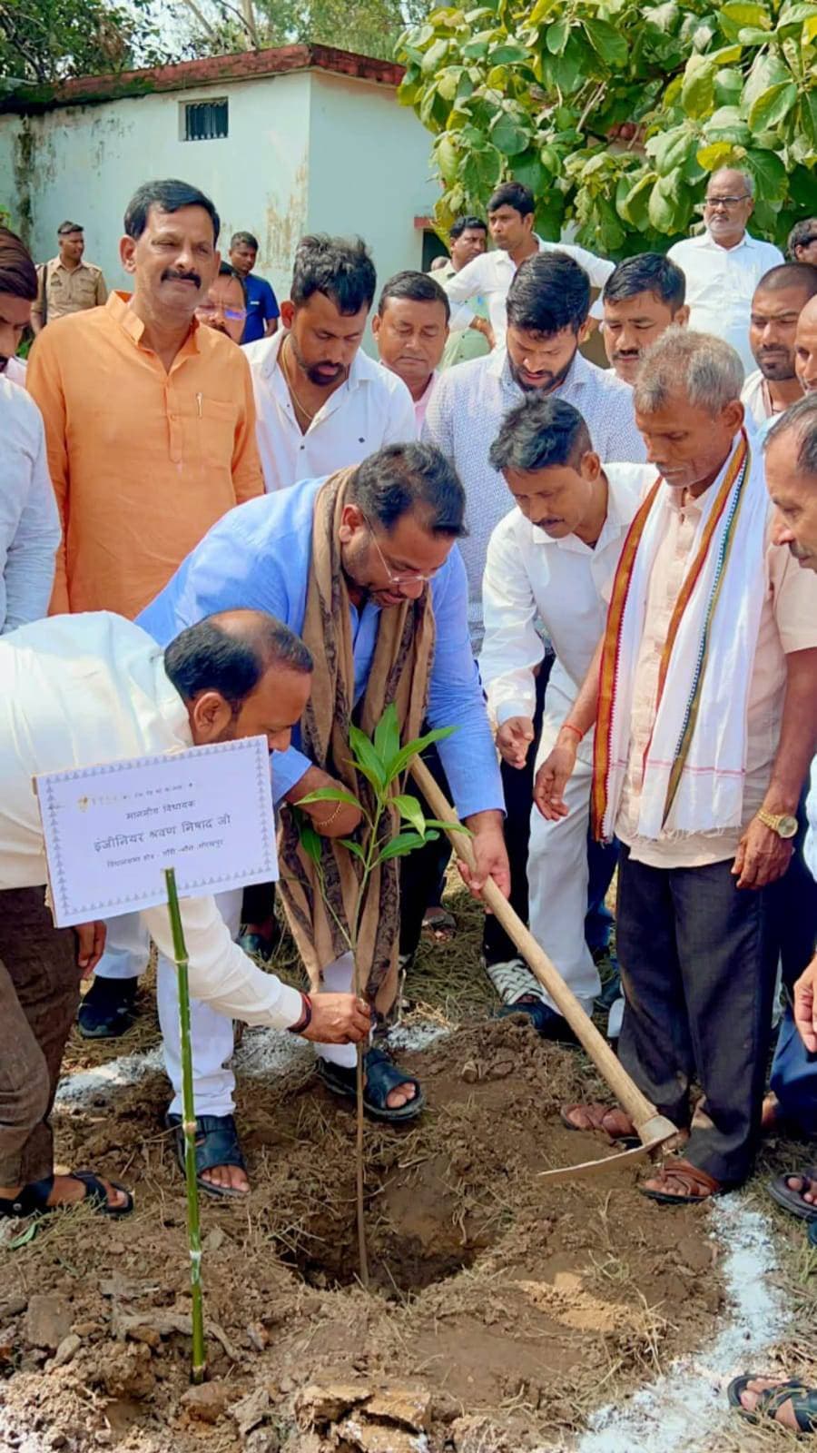 वृहद पौधरोपण में विधायक ने ब्लॉक परिसर में किया पौधरोपण