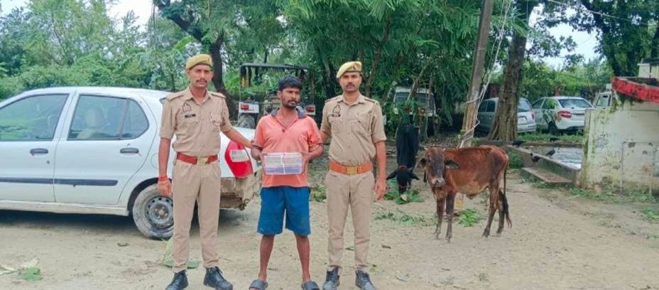 कुंदनपुर नहर पुलिया से दो गोवंश व अवैध असलहे के साथ एक